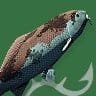Hadrian Koi Uncommon Fish art