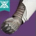 The Desert Perpetual Arms art Destiny 2